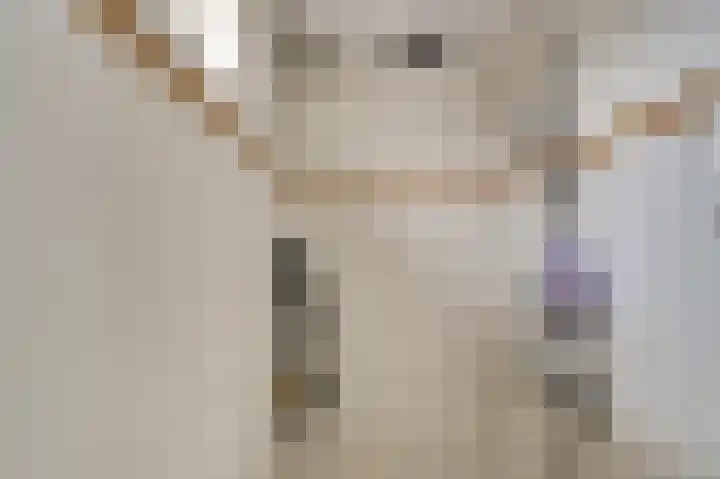 Martin Luther Kinglaan 136 Goirle thumbnail 28