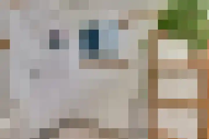 Martin Luther Kinglaan 136 Goirle thumbnail 29