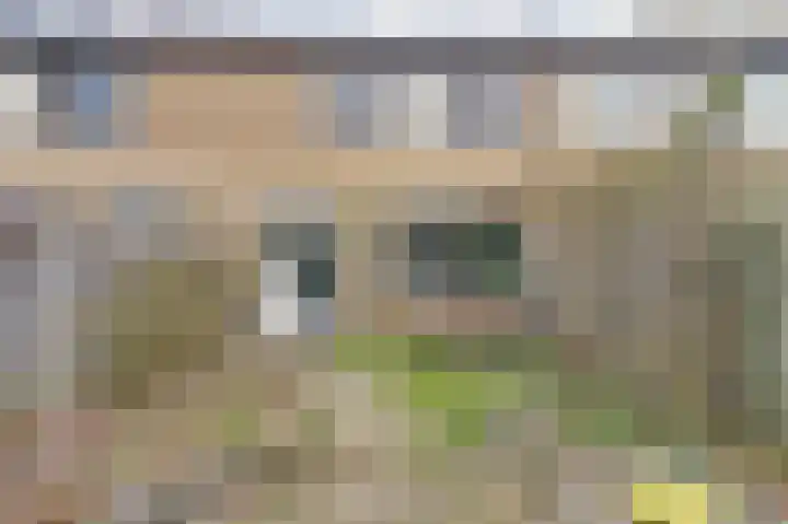 Martin Luther Kinglaan 136 Goirle thumbnail 33
