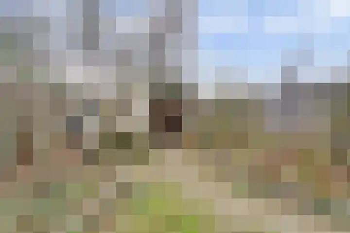 Martin Luther Kinglaan 136 Goirle thumbnail 37