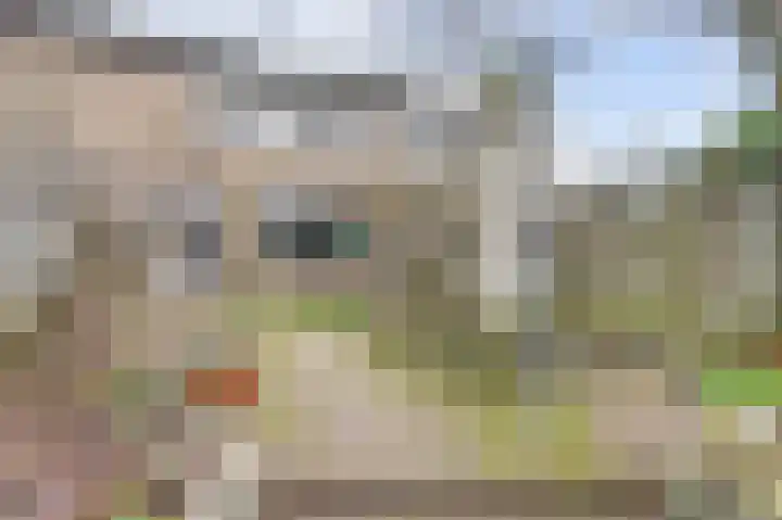 Martin Luther Kinglaan 136 Goirle thumbnail 4