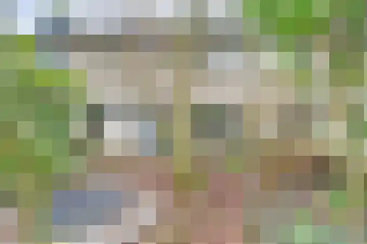 Martin Luther Kinglaan 136 Goirle thumbnail 5