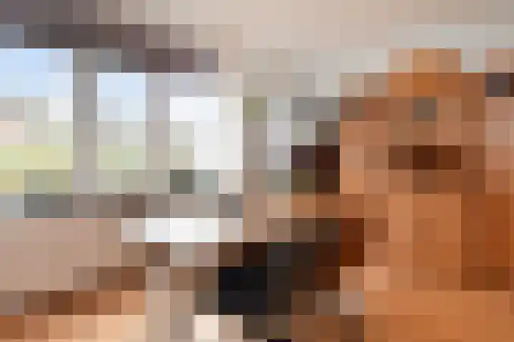 Martin Luther Kinglaan 157 Den Haag thumbnail 15