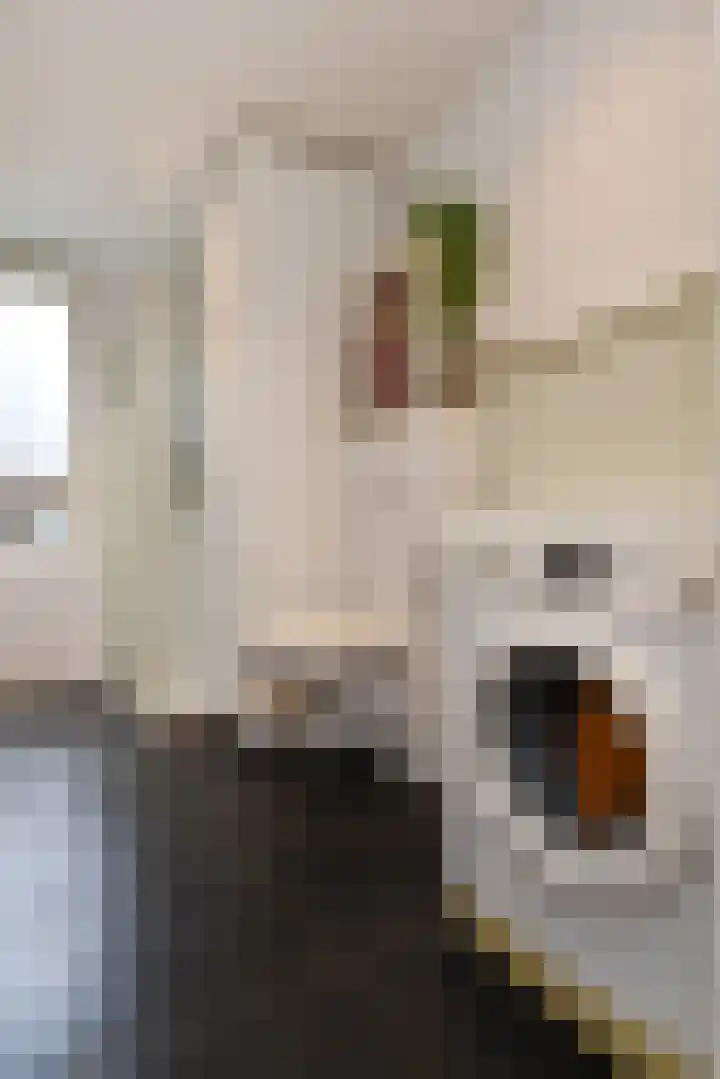 Martin Luther Kinglaan 157 Den Haag thumbnail 21