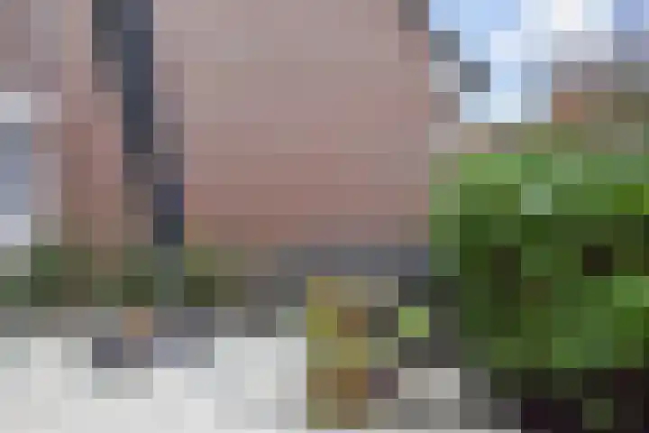 Martin Luther Kinglaan 157 Den Haag thumbnail 35