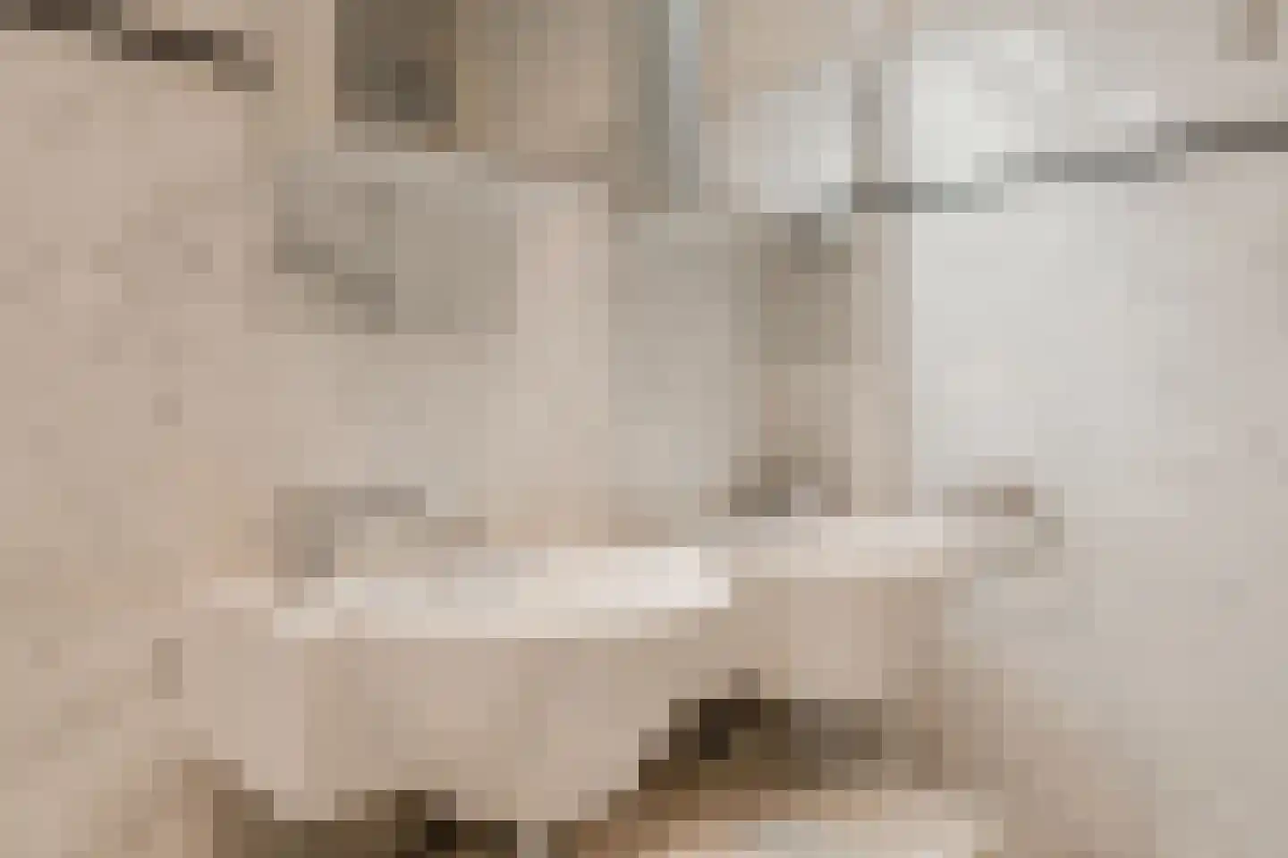 Martin Luther Kinglaan 162 Diemen thumbnail 40