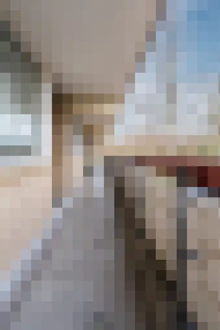Martin Luther Kinglaan 198 Diemen thumbnail 13