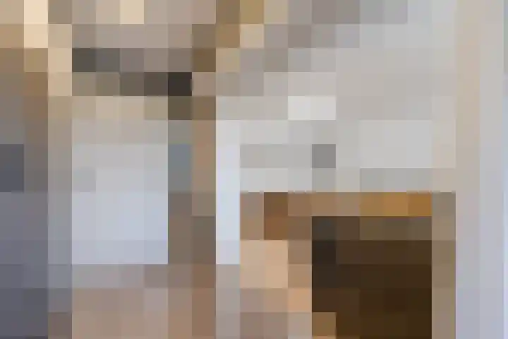 Martin Luther Kinglaan 198 Diemen thumbnail 30