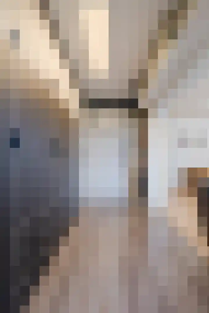 Martin Luther Kinglaan 198 Diemen thumbnail 33