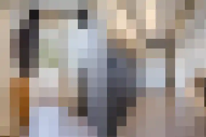 Martin Luther Kinglaan 198 Diemen thumbnail 34