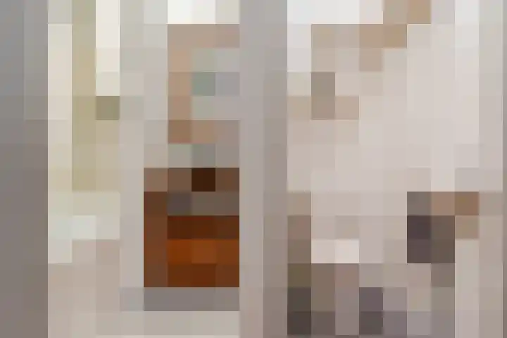 Martin Luther Kinglaan 198 Diemen thumbnail 52
