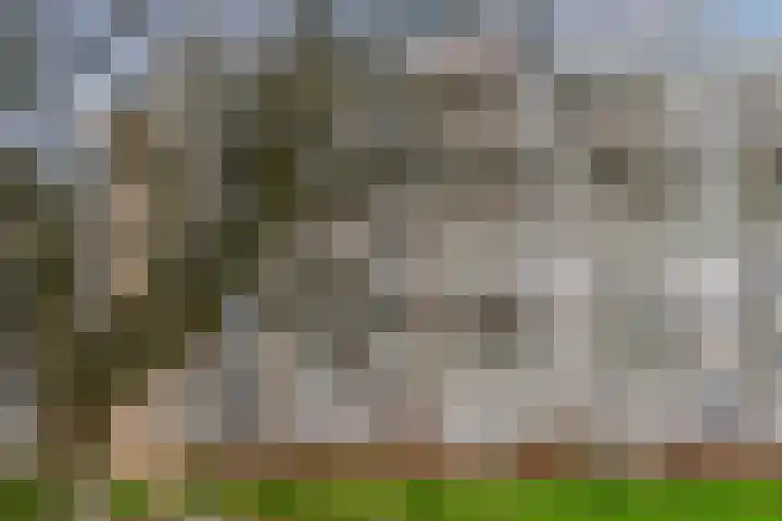 Martin Luther Kinglaan 198 Diemen thumbnail 64