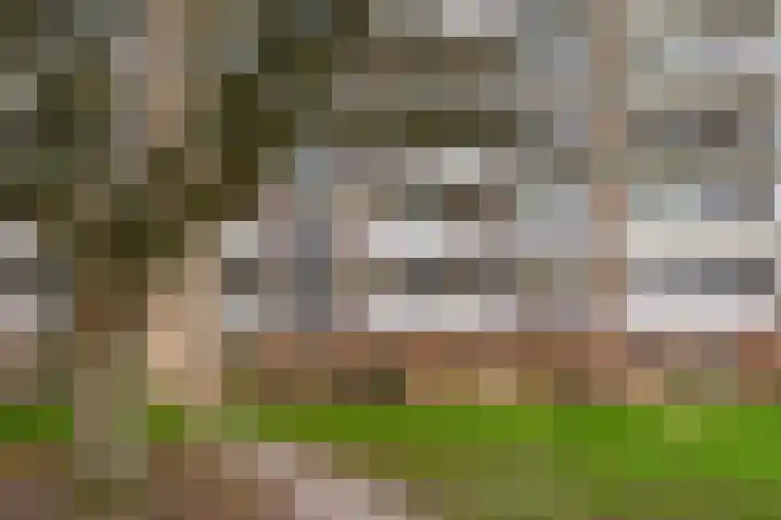 Martin Luther Kinglaan 198 Diemen thumbnail 65