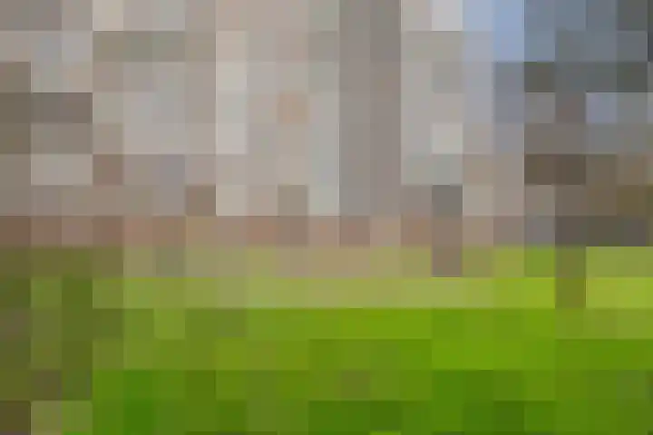 Martin Luther Kinglaan 198 Diemen thumbnail 66