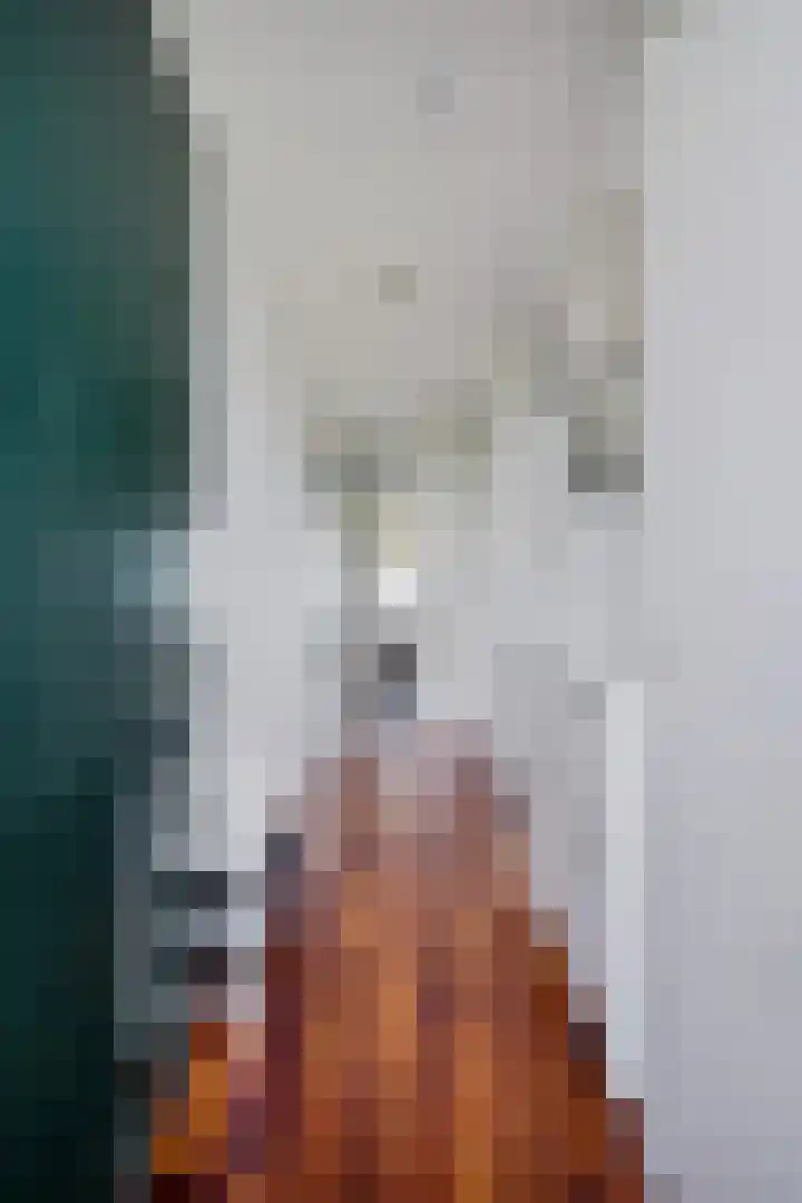 Martin Luther Kinglaan 276 Diemen thumbnail 13