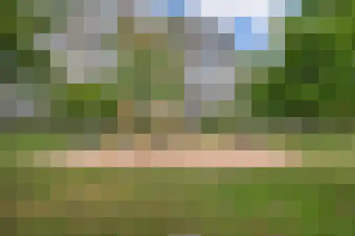 Martin Luther Kinglaan 276 Diemen thumbnail 17