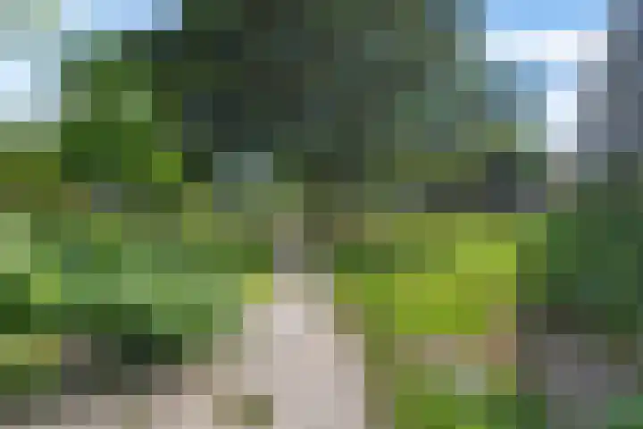 Martin Luther Kinglaan 276 Diemen thumbnail 18