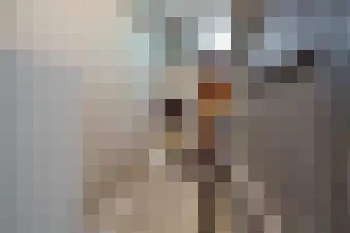 Martin Luther Kinglaan 276 Diemen thumbnail 19