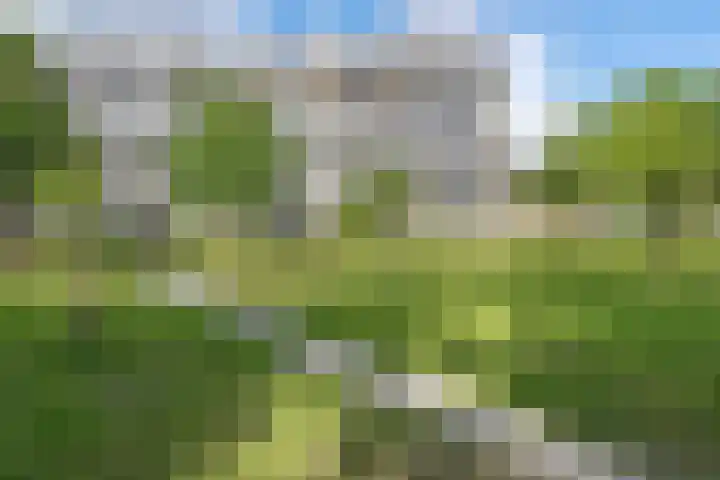 Martin Luther Kinglaan 276 Diemen thumbnail 23