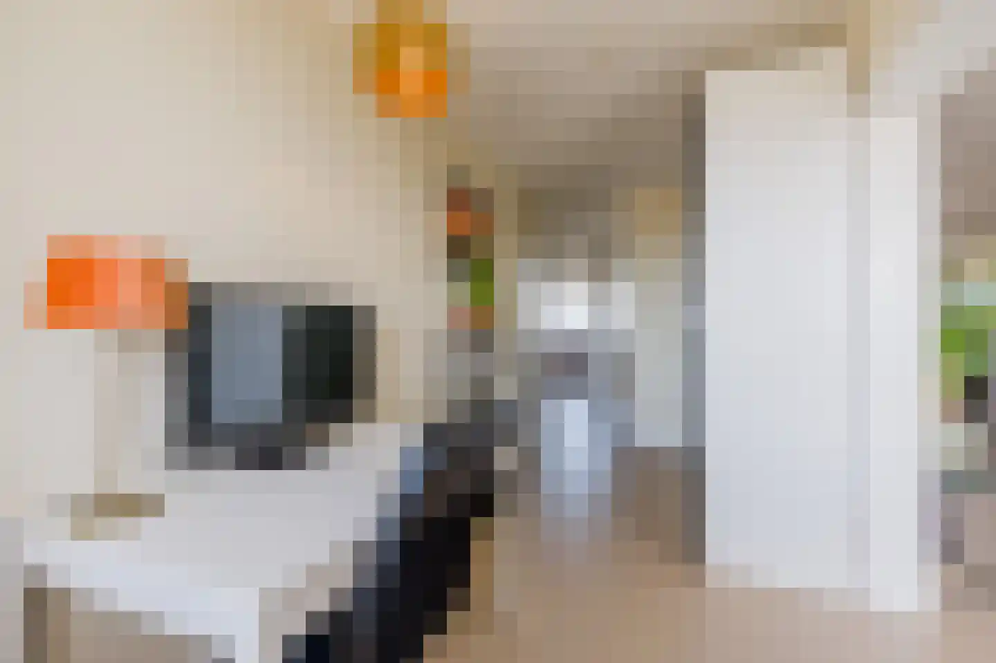 Martin Luther Kinglaan 280 Diemen thumbnail 30