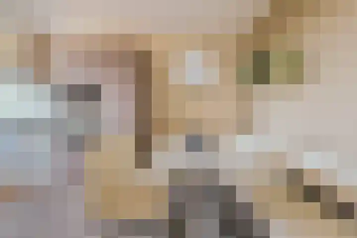 Martin Luther Kinglaan 298 Diemen thumbnail 18