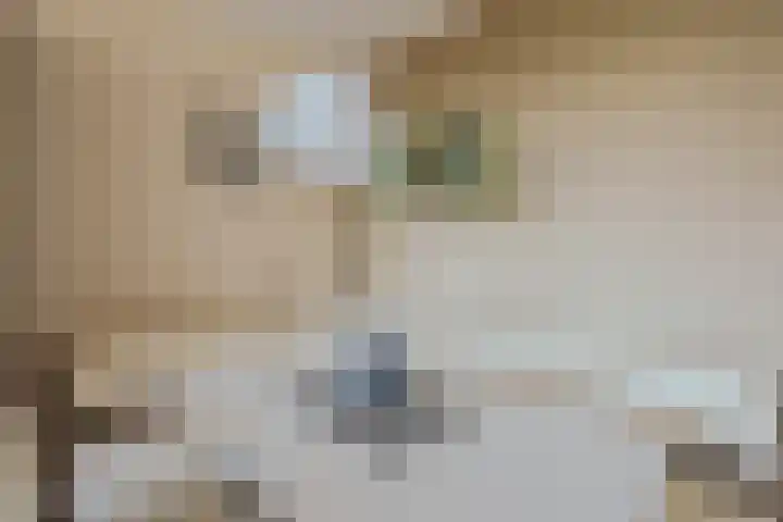 Martin Luther Kinglaan 298 Diemen thumbnail 19