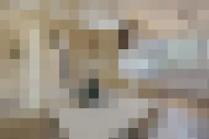 Martin Luther Kinglaan 298 Diemen thumbnail 23