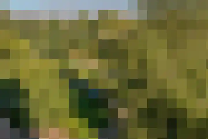 Martin Luther Kinglaan 298 Diemen thumbnail 31