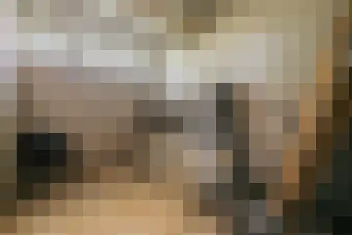 Martin Luther Kinglaan 298 Diemen thumbnail 32