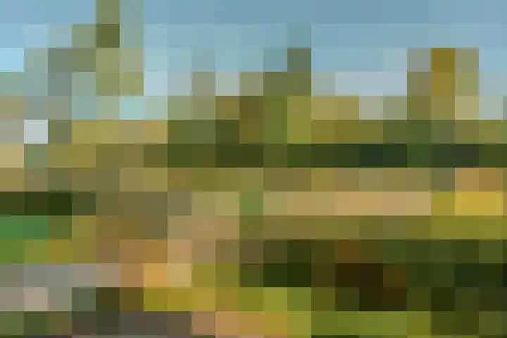 Martin Luther Kinglaan 298 Diemen thumbnail 34