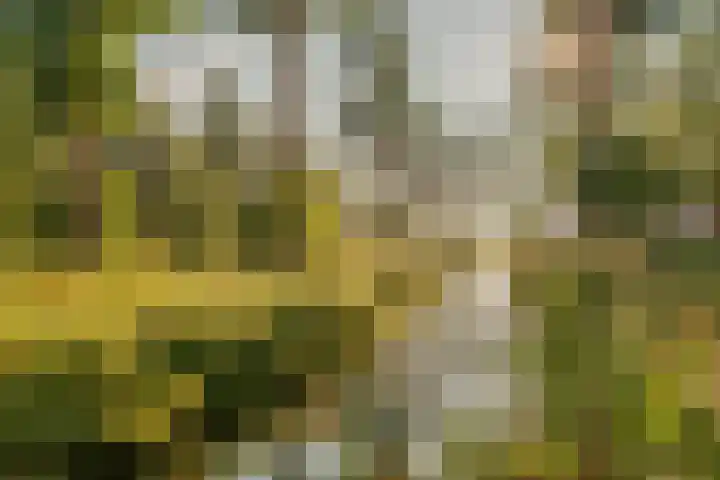 Martin Luther Kinglaan 298 Diemen thumbnail 35