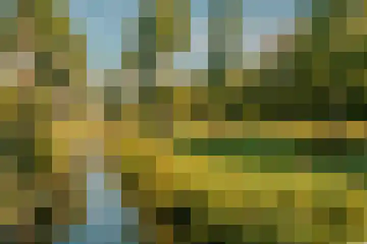 Martin Luther Kinglaan 298 Diemen thumbnail 36