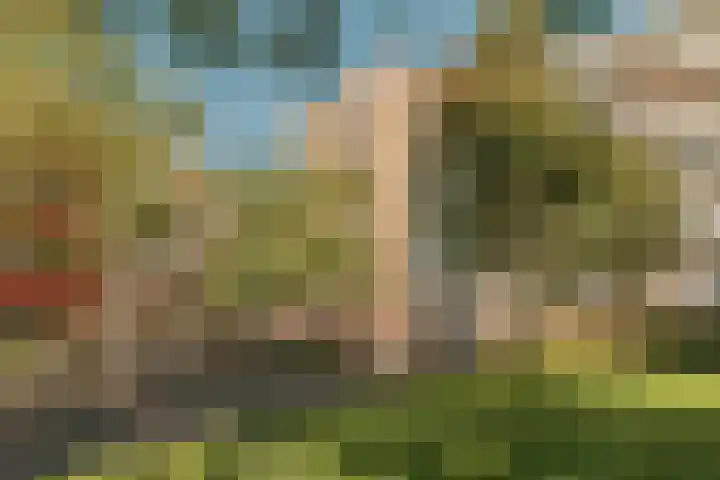 Martin Luther Kinglaan 298 Diemen thumbnail 38