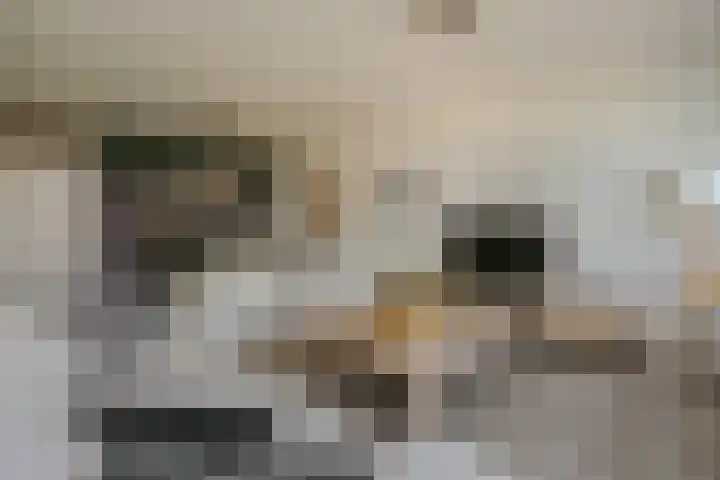 Martin Luther Kinglaan 298 Diemen thumbnail 8