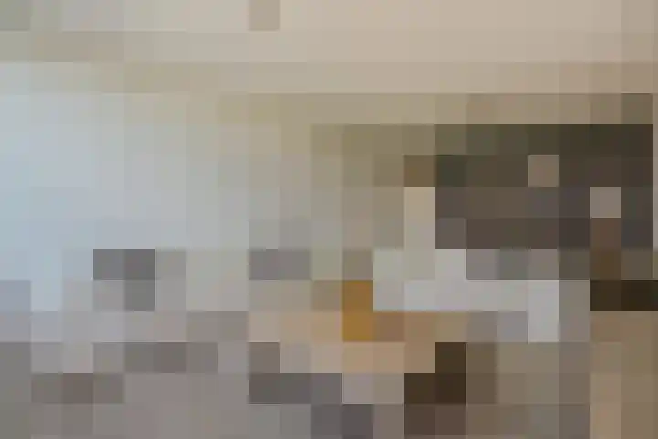 Martin Luther Kinglaan 298 Diemen thumbnail 9