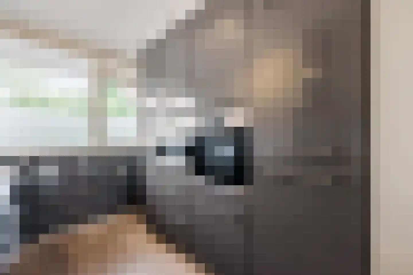 Martin Luther Kinglaan 336 Diemen thumbnail 14