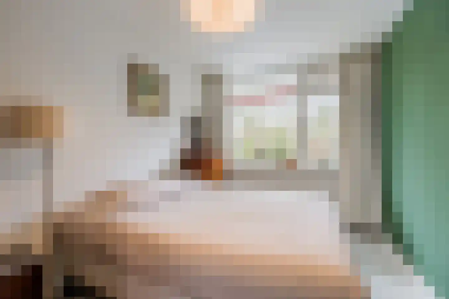 Martin Luther Kinglaan 390 Diemen thumbnail 16
