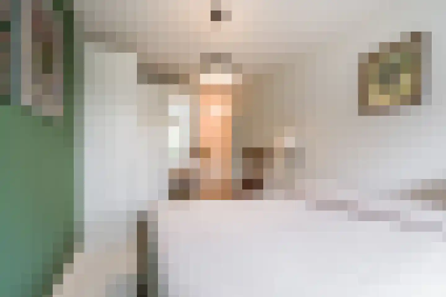 Martin Luther Kinglaan 390 Diemen thumbnail 17