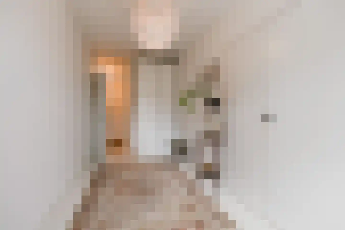 Martin Luther Kinglaan 390 Diemen thumbnail 19