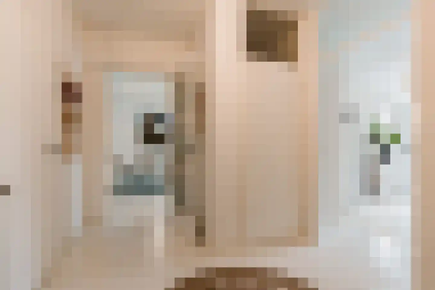 Martin Luther Kinglaan 390 Diemen thumbnail 23