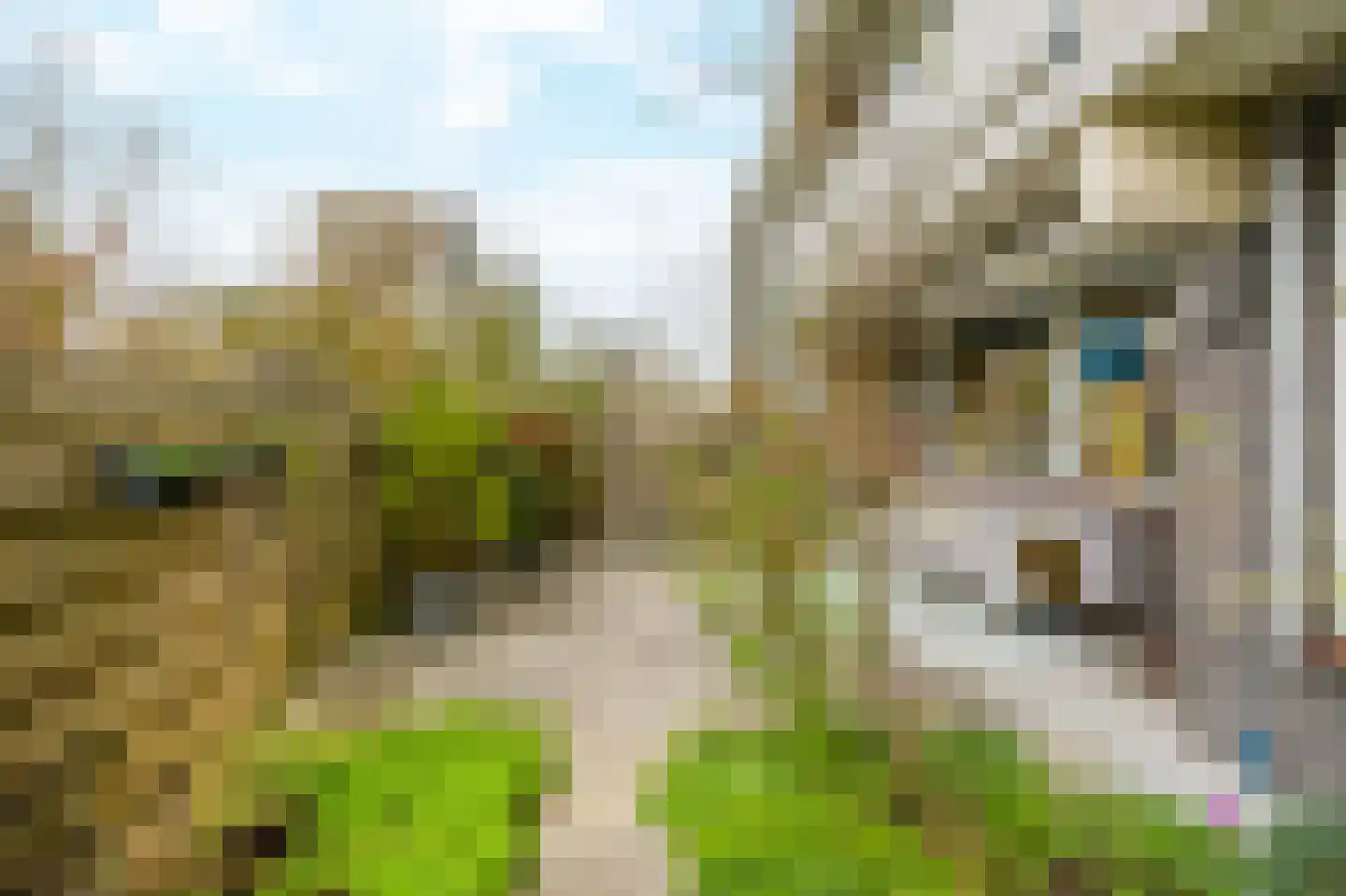 Martin Luther Kinglaan 390 Diemen thumbnail 31