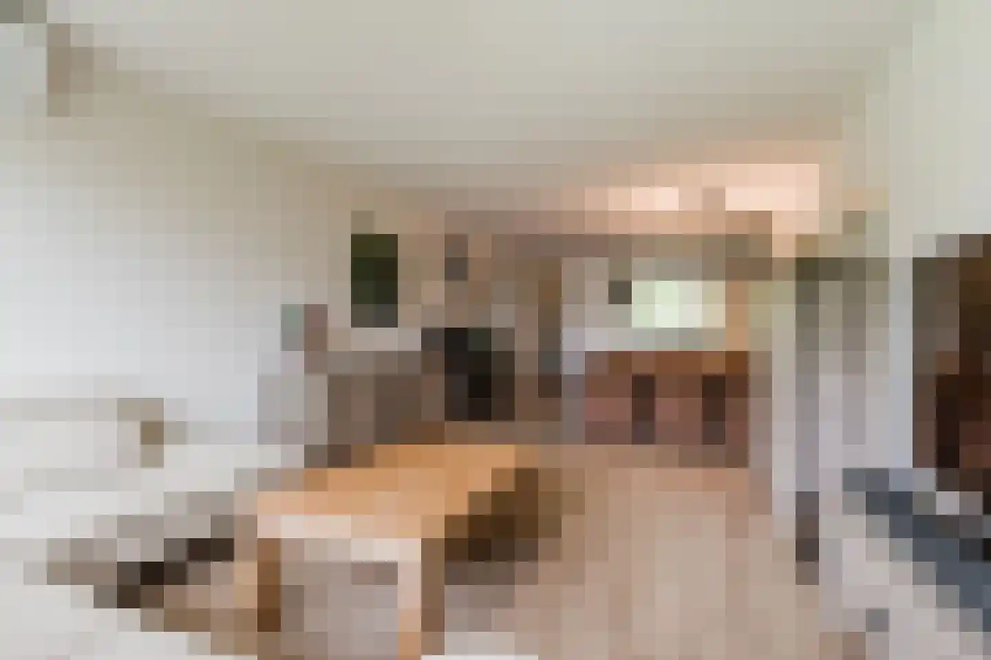 Martin Luther Kinglaan 404 Diemen thumbnail 10