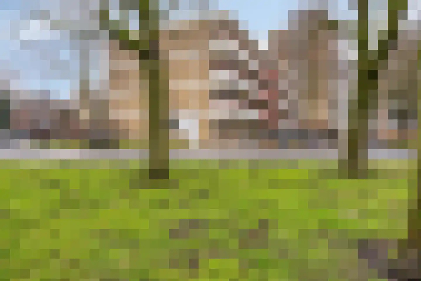 Martin Luther Kinglaan 410 Diemen thumbnail 5