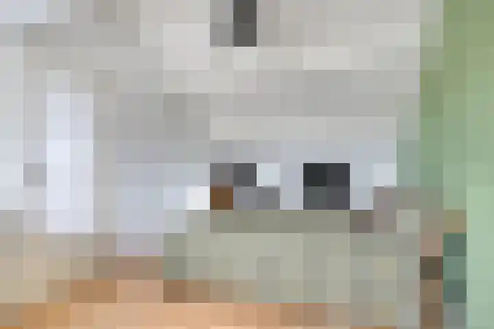 Martin Luther Kinglaan 46 Goirle thumbnail 18