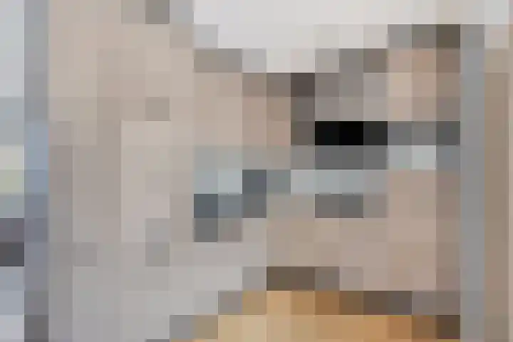 Martin Luther Kinglaan 46 Goirle thumbnail 7