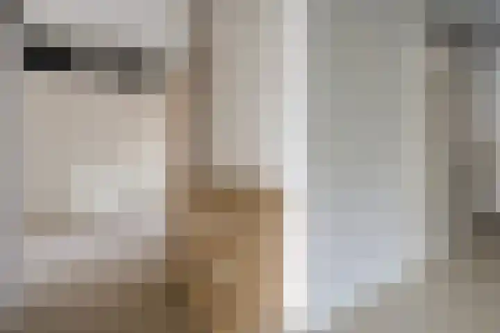 Martin Luther Kinglaan 460 Diemen thumbnail 13