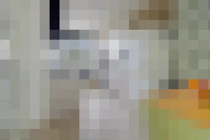 Martin Luther Kinglaan 460 Diemen thumbnail 17