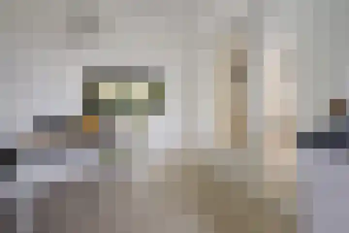 Martin Luther Kinglaan 460 Diemen thumbnail 21