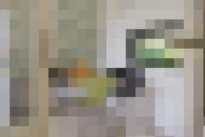 Martin Luther Kinglaan 460 Diemen thumbnail 23
