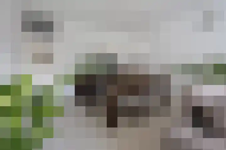Martin Luther Kinglaan 460 Diemen thumbnail 25